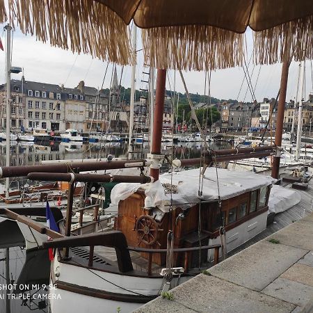Proche Honfleur Gite Avec Piscine Équemauville Zewnętrze zdjęcie