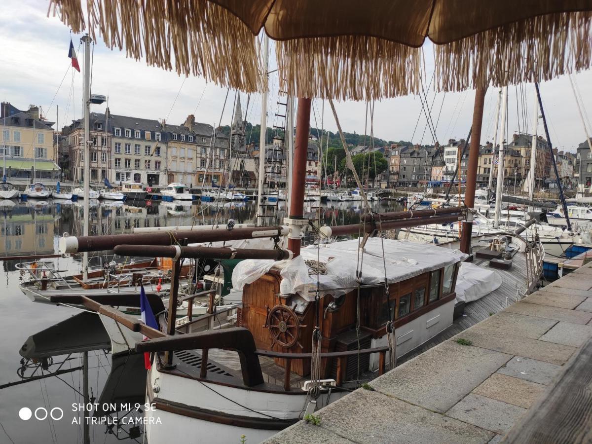 Proche Honfleur Gite Avec Piscine Équemauville Zewnętrze zdjęcie